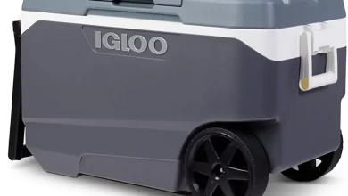 Igloo Recalls Over 1 Million Coolers Due to Safety Risks