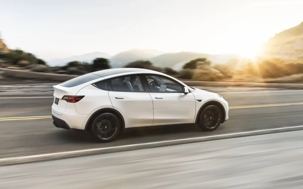 Regular Model Y