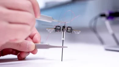 Winged Tiny Pogo Robot Redefines Agile Robotics