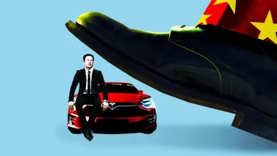 Can Chinese EVs Overtake Tesla in Global Markets